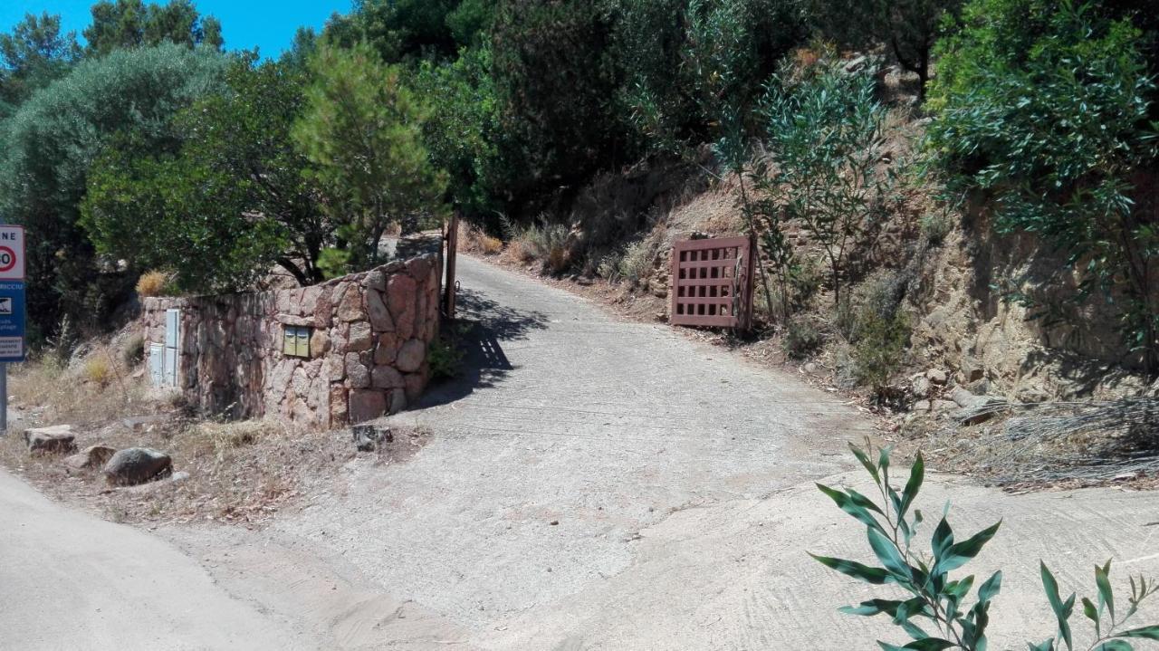 Maison Sur Palombaggia Porto-Vecchio  Zewnętrze zdjęcie
